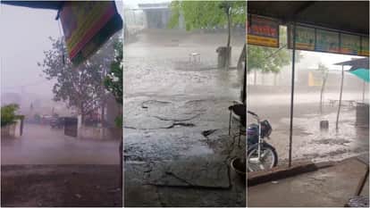 Weather Update: Crops Ruined by Unseasonal Rains and Hailstorm in Baran; Farmers Despair,