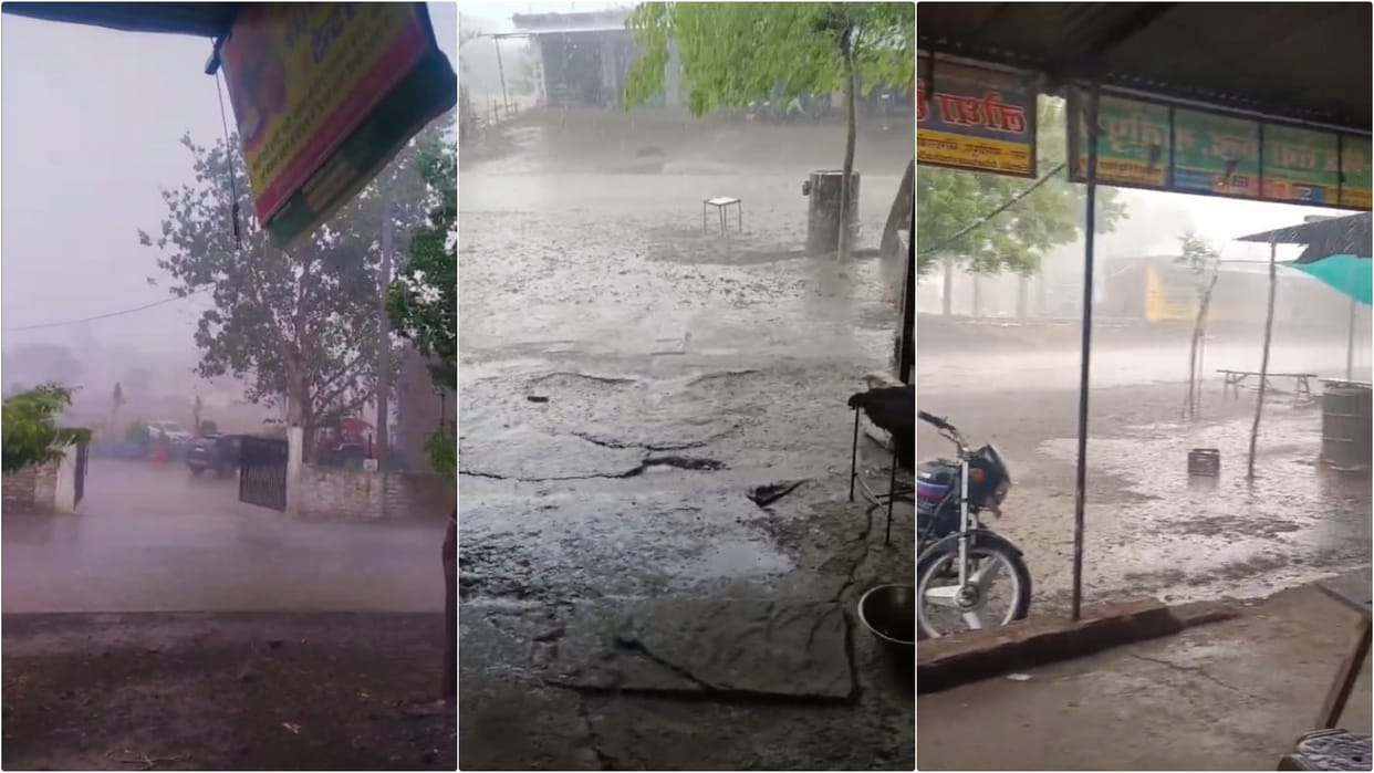 Weather Update: Crops Ruined by Unseasonal Rains and Hailstorm in Baran; Farmers Despair,