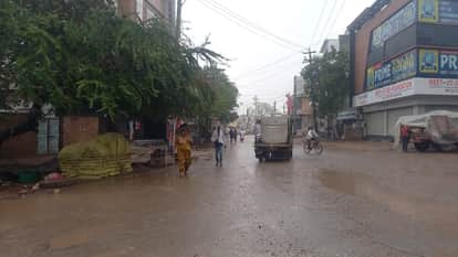 Rain and Strong Wind Alert in Haryana Fear of Damage to Wheat and Mustard Crops