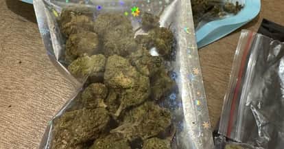 Kanpur American OG Ganja Reaches Engineering and Medical Colleges 10 Times More Potent Than Regular Cannabis