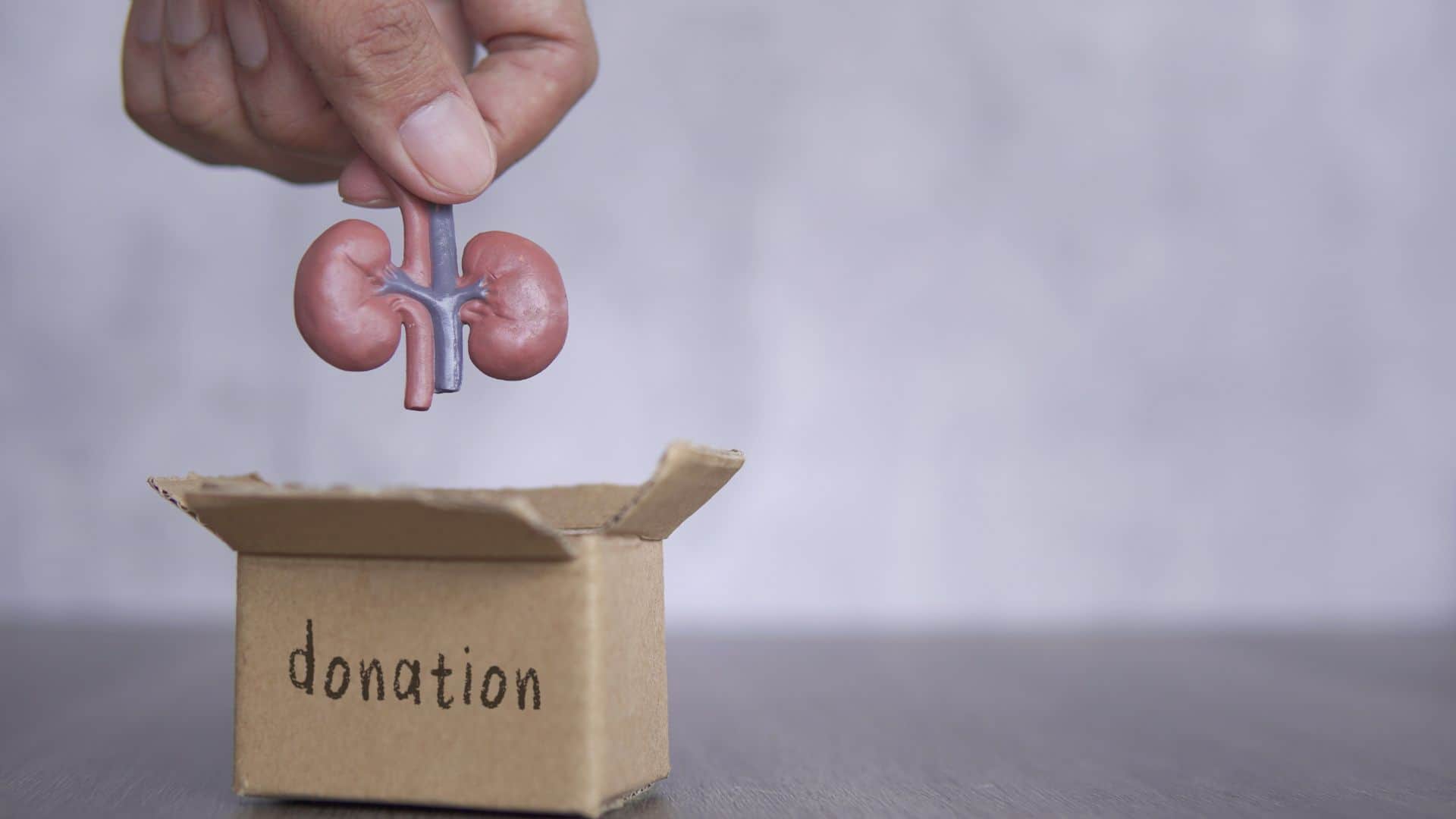 Organ Donation Online Registration India 2026: Steps to Pledge and Get Donor Card