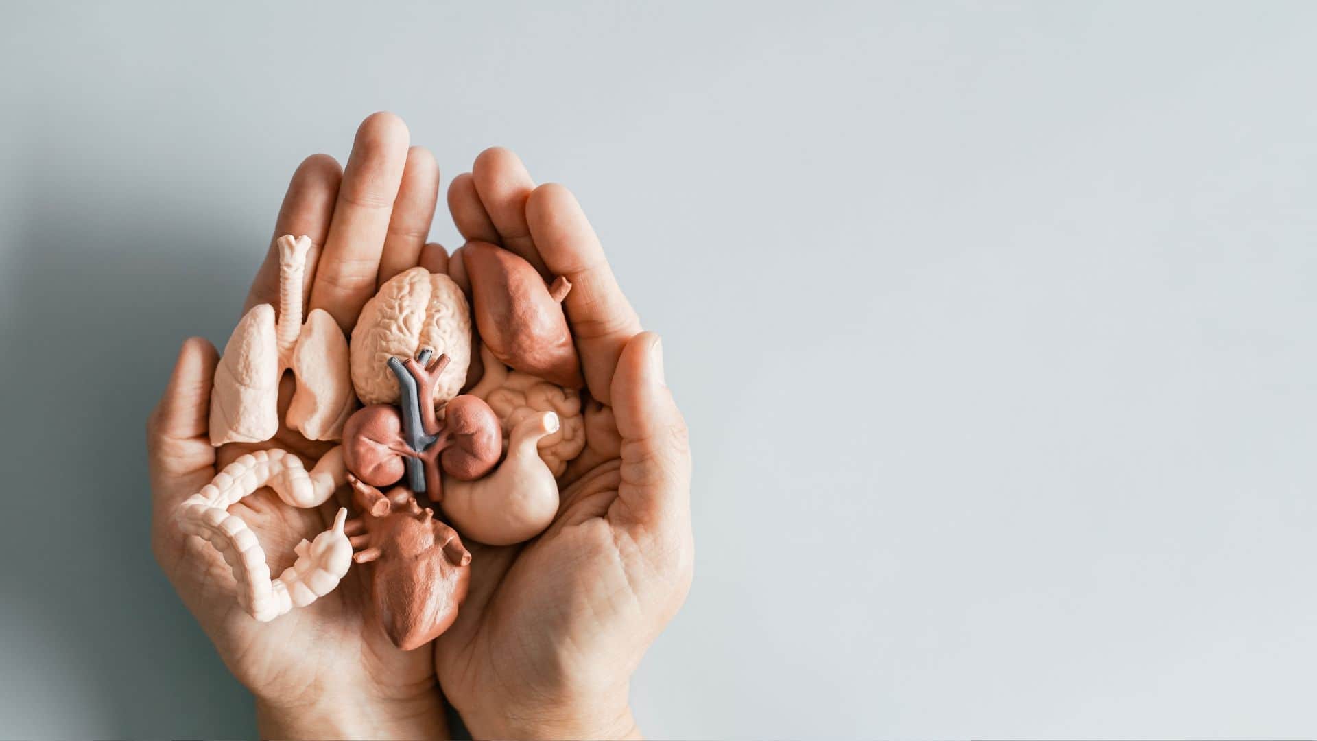 Organ Donation Online Registration India 2026: Steps to Pledge and Get Donor Card