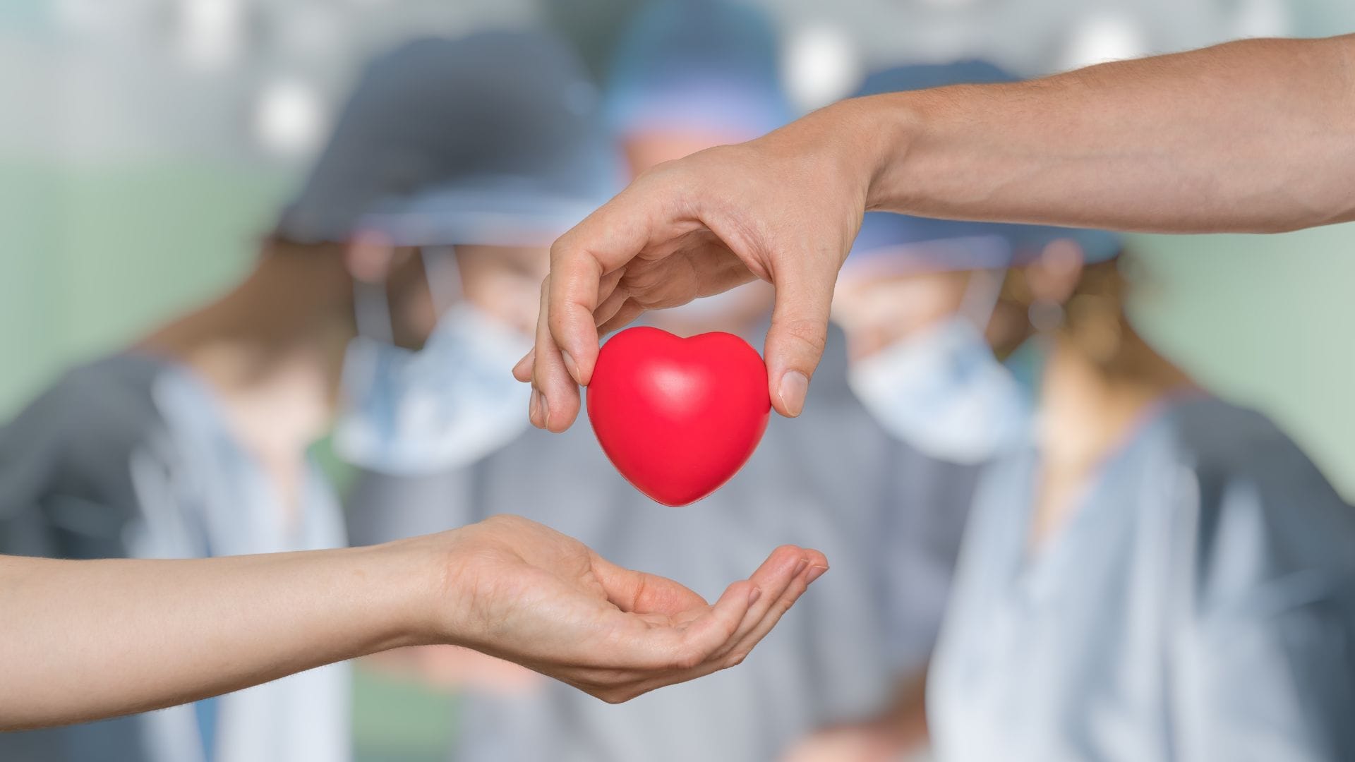 Organ Donation Online Registration India 2026: Steps to Pledge and Get Donor Card