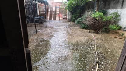 Rain accompanied by strong winds lashes Bareilly and other districts crops damaged