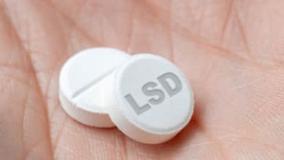 Himachal News Stain on the STF Formed to Eradicate Drugs Several Questions Raised