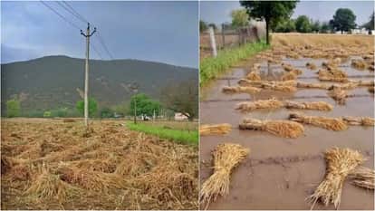 Dausa Weather: Rain Continues for 2nd Day Transformer Burnt Due to Lightning Strike Crops Damaged by Hailstorm