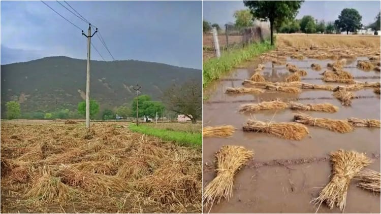 Weather Update: दौसा में दूसरे दिन भी बारिश, बिजली गिरने से ट्रांसफार्मर जला; ओलावृष्टि से फसलों को नुकसान