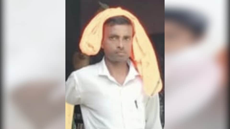 Five killed in road accident in Agra