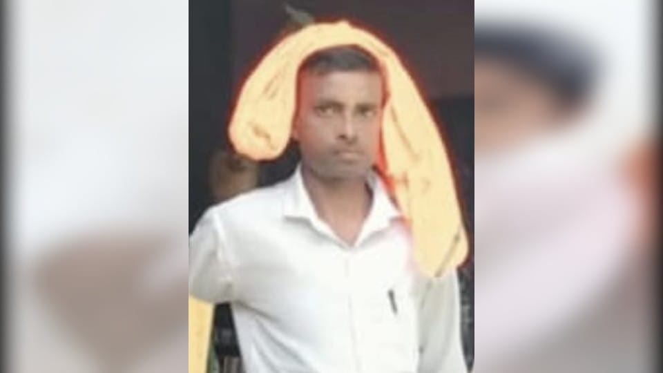 Five killed in road accident in Agra