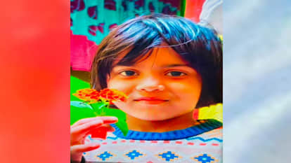 Electricity Poles Loaded on Trolley Pierce Through Car; Child Dies, Four Injured Including Mother