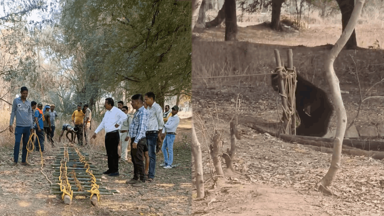 भालू का सफल रेस्क्यू