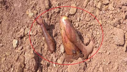 The secret was hidden under the ground: Young man murdered in Abhanpur, body buried, sensational revelation.