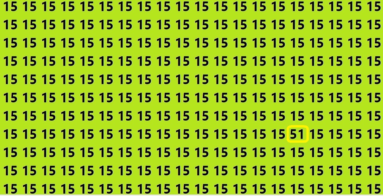 Brain Teaser Game Can You Find Hidden 51 In 12 Second Look At This Optical Illusion Image