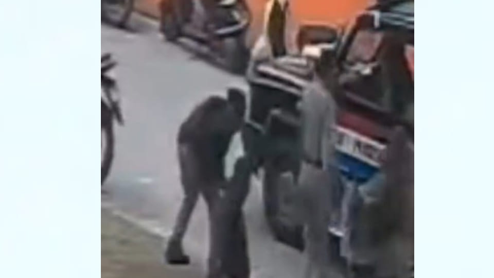 Kanpur: Constable on Duty at Singhvahini Temple Tossed by Bull; Injured