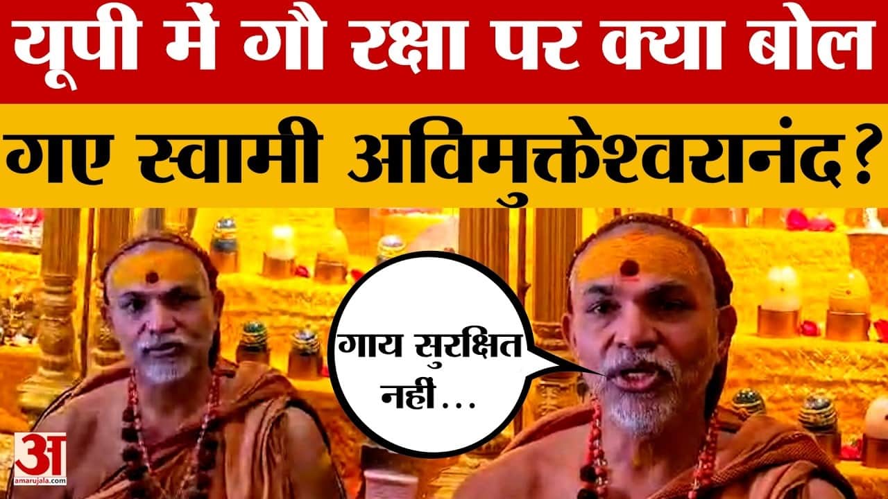 यूपी में गौ रक्षा पर स्वामी अविमुक्तेश्वरानंद का बड़ा बयान