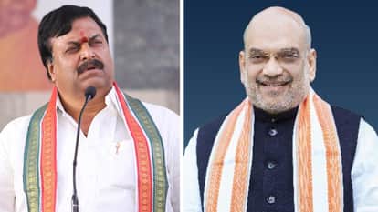 Tamil Nadu Assembly Election NDA seat-sharing talks in Chennai, discussed strategies with Shah: Dhinakaran