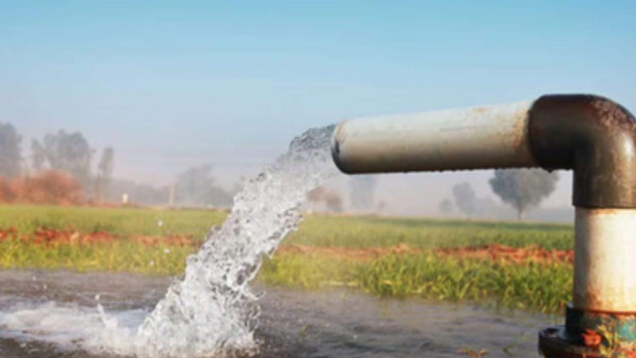 Disclosure in CSIR and IITR report