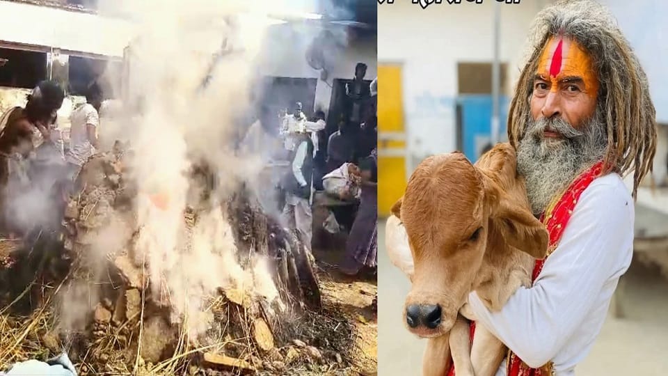 administration will take charge of cowshed after death of Farsa Wale Baba in mathura