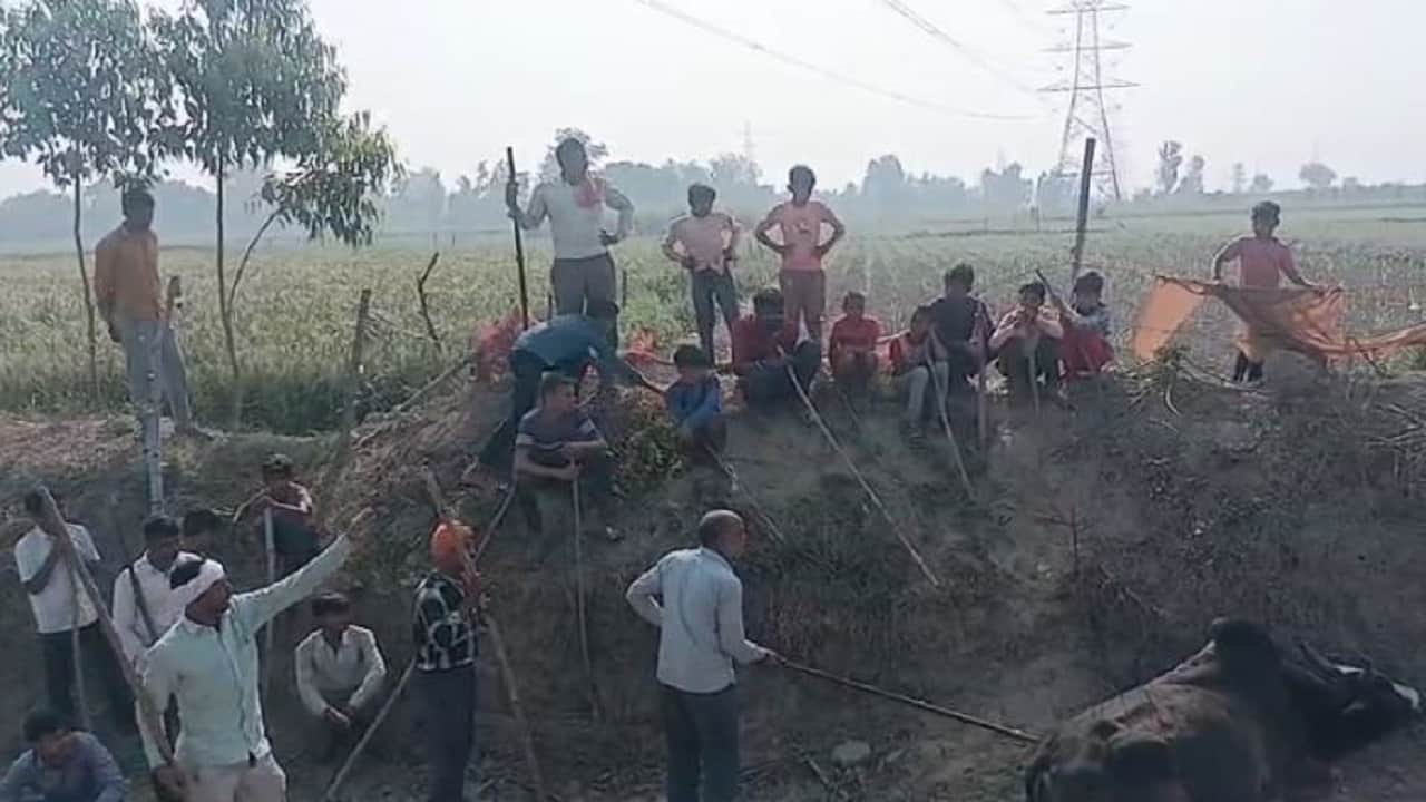 किसानों ने निर्माणाधीन गोशाला में बंद किए पशु