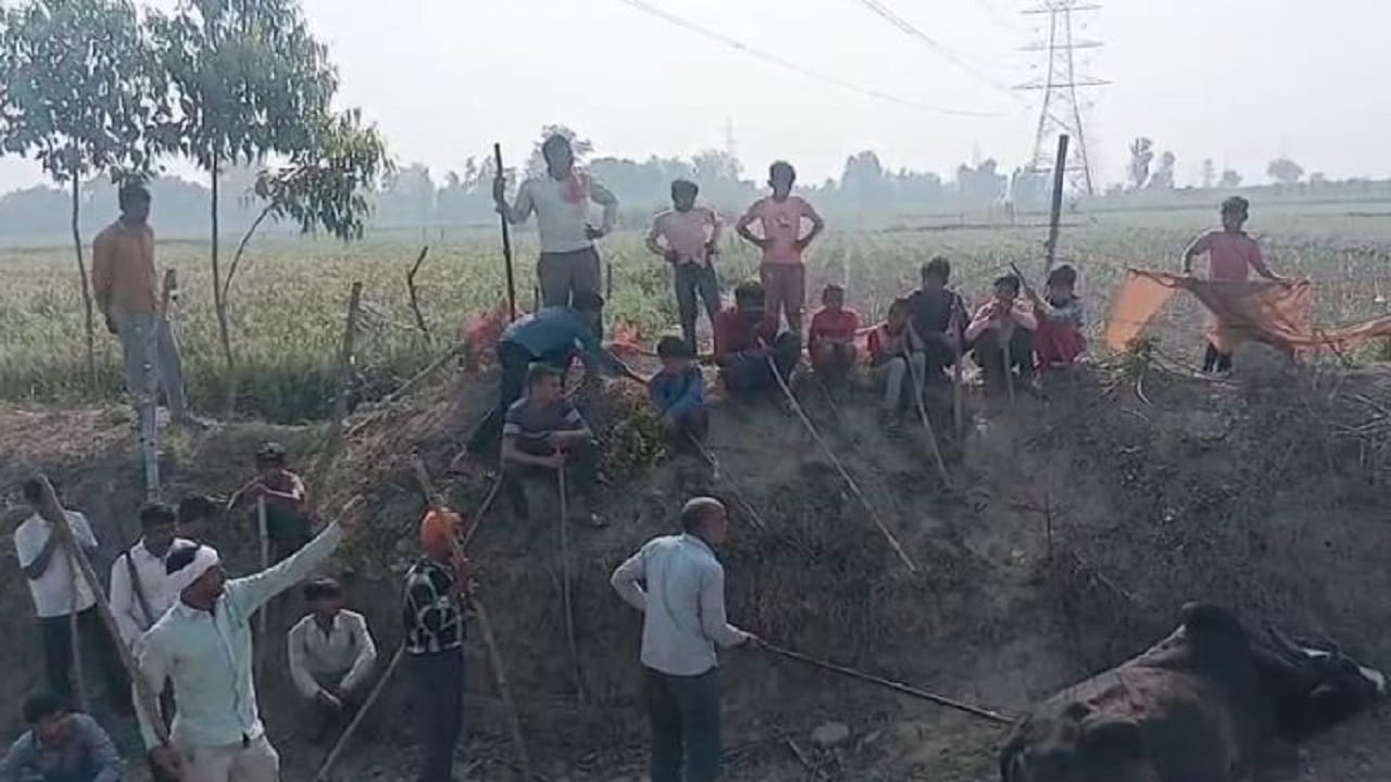 किसानों ने निर्माणाधीन गोशाला में बंद किए पशु