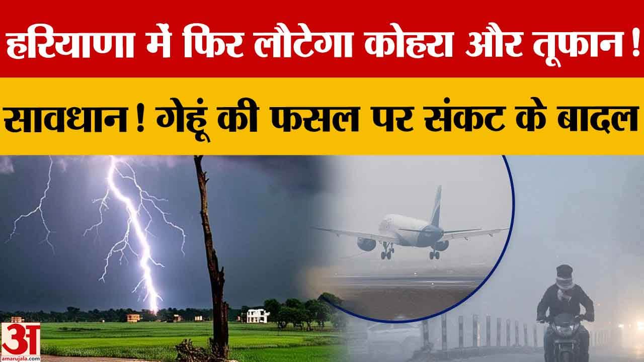 हरियाणा मौसम अपडेट: कोहरा, बारिश और तेज हवाओं का अलर्ट, गेहूं फसल पर खतरा