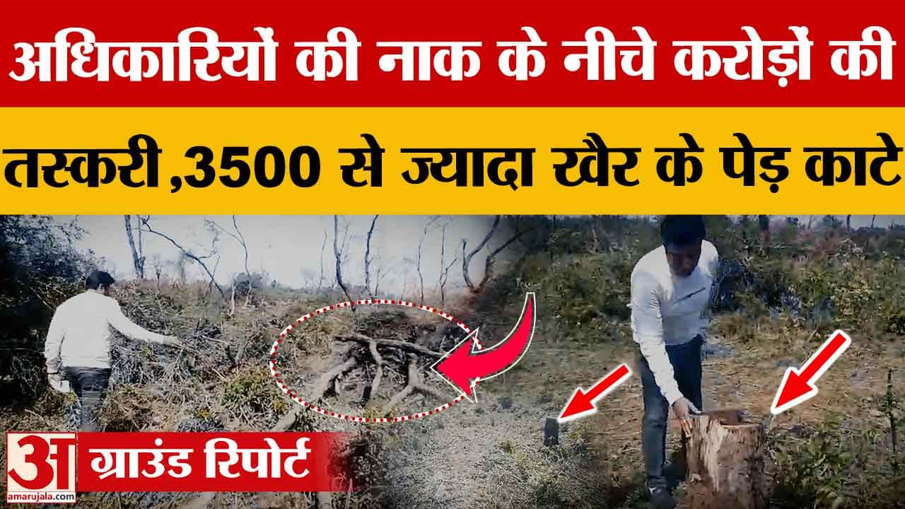 Kalka-Shimla Highway deforestation: Over 3,500 Khair trees felled, raising serious questions about t