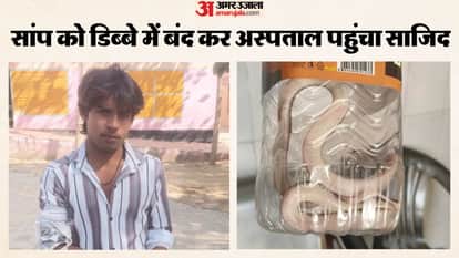 After being bitten man locked snake in a box and headed to hospital