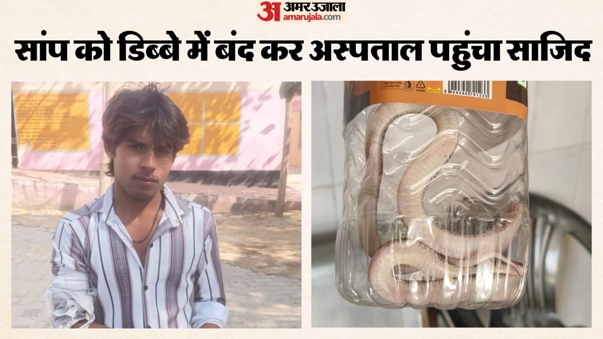 After being bitten man locked snake in a box and headed to hospital