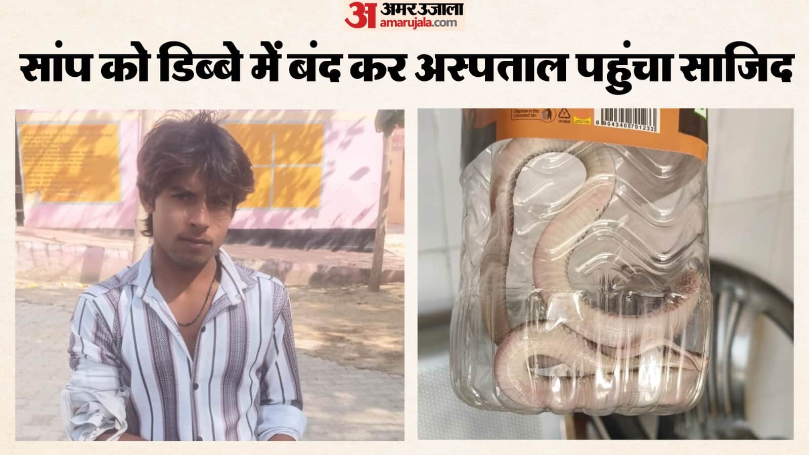 साजिद को सांप ने काटा