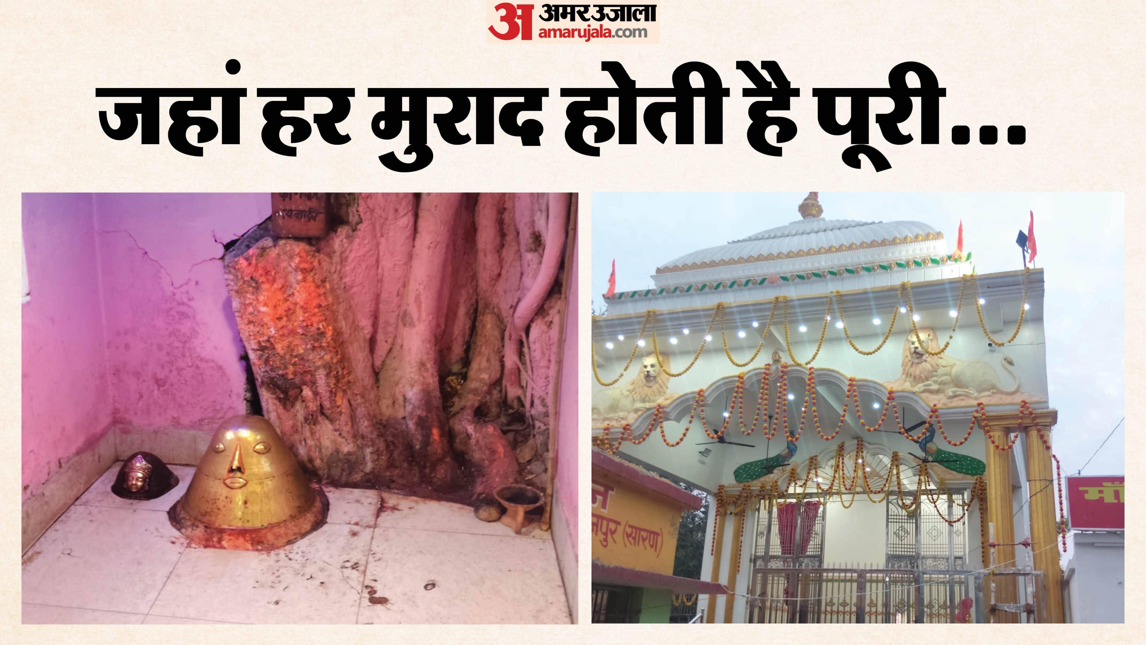 वटवृक्ष के नीचे पिंडी रूप में विराजमान माता भगवती