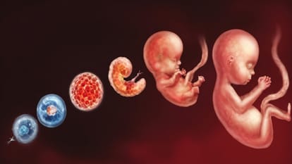 AI to Predict Time of Birth India Develops Indigenous Model