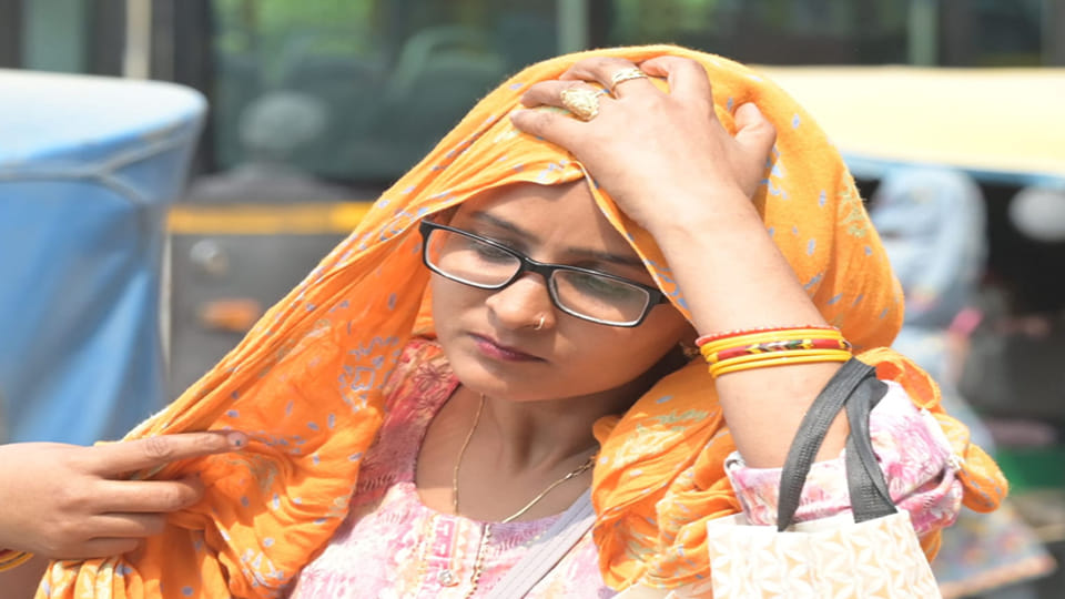 World Meteorological Day: Kanpur's Average Temperature Rises by 1.3 Degrees in Five Years