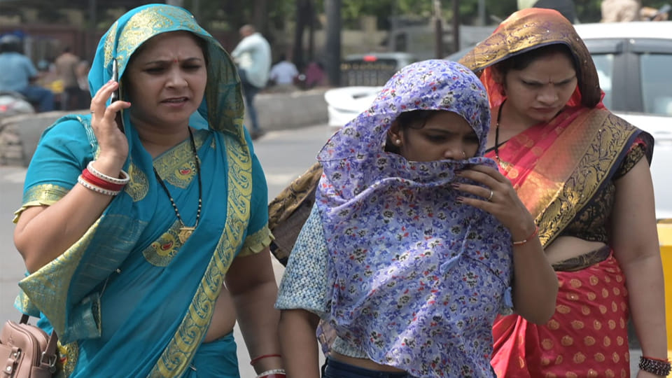 World Meteorological Day: Kanpur's Average Temperature Rises by 1.3 Degrees in Five Years