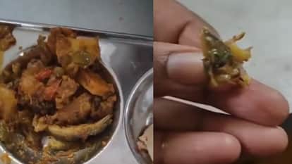 mp students spotted a lizard in the food in rgpv canteen but canteen staff ate it calling capsicum