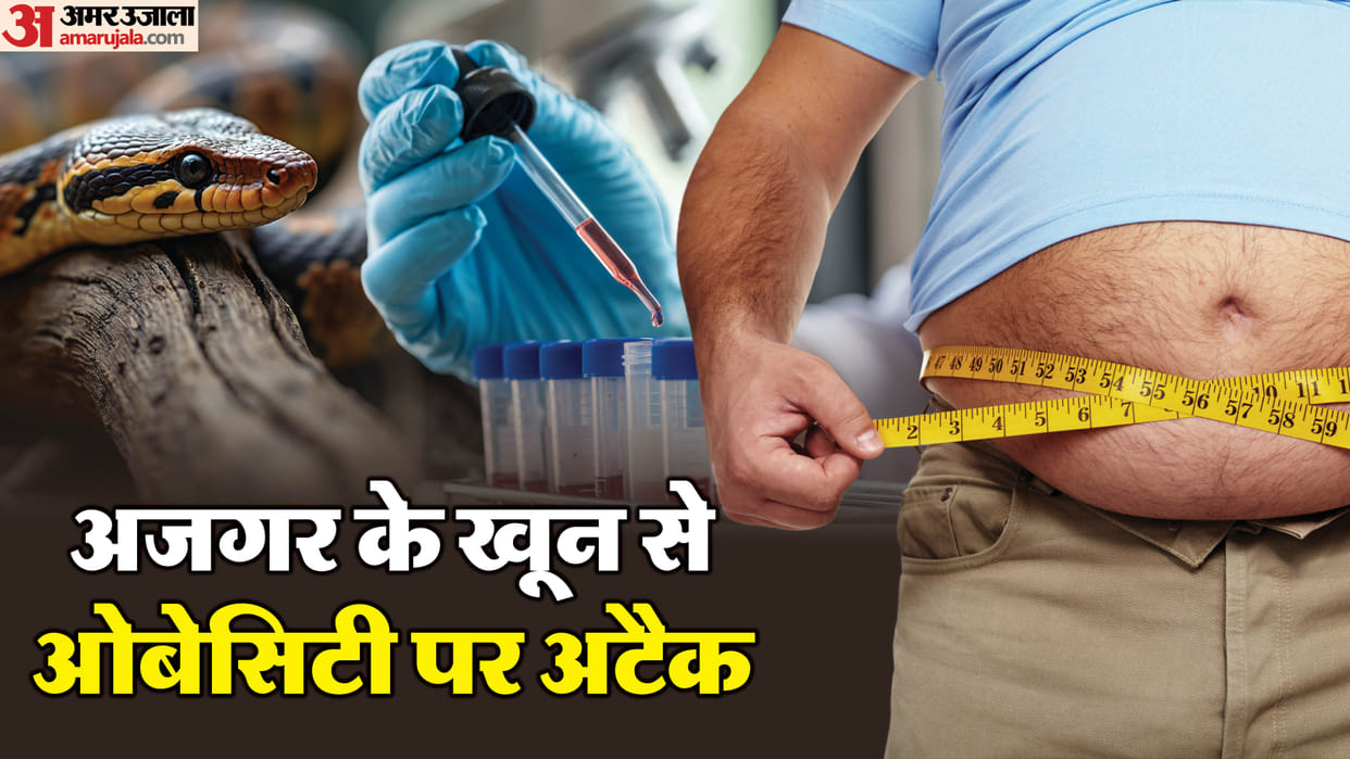 motape ki dawa molecule in python blood may reduce appetite and promote weight loss