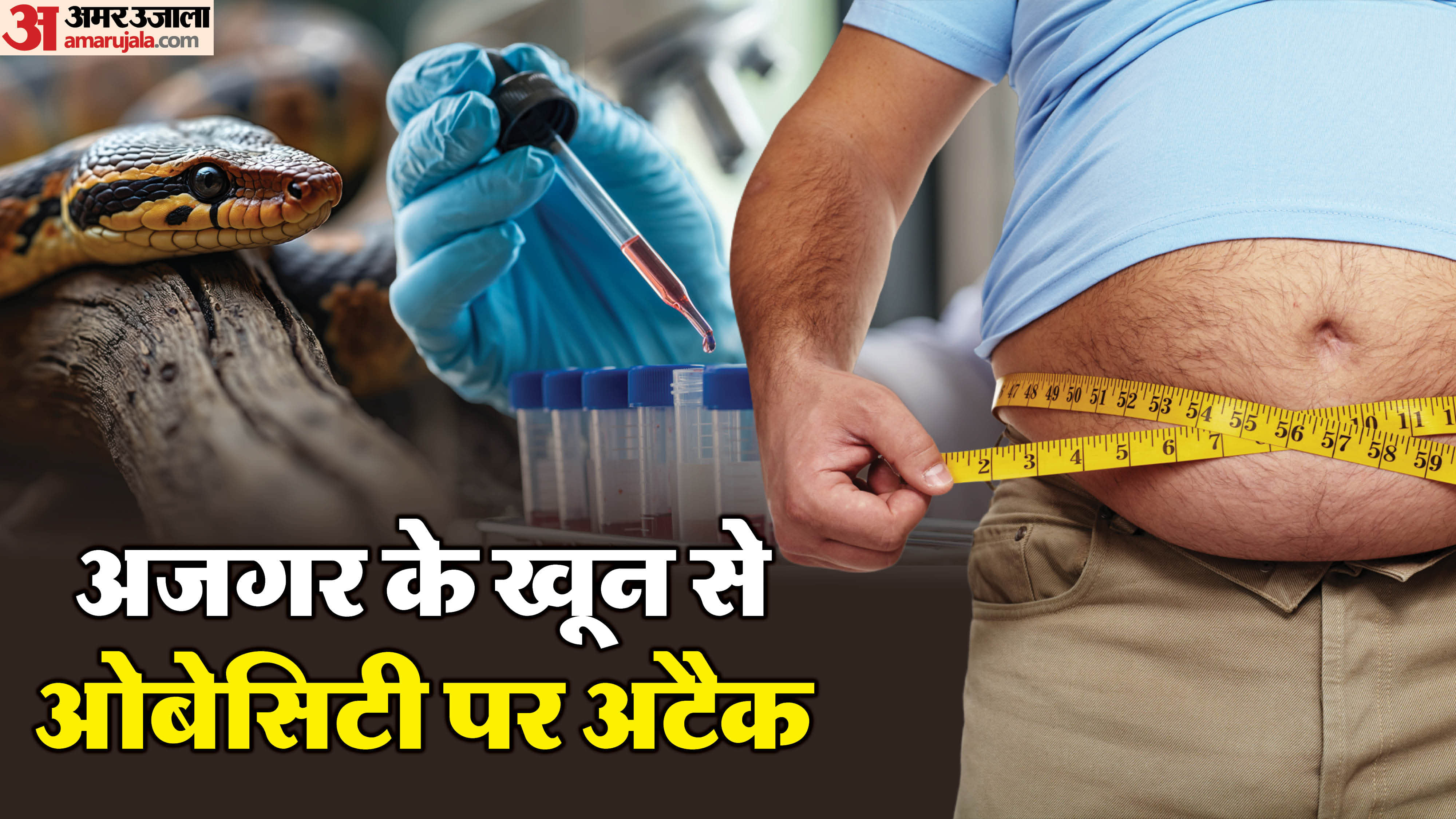 मोटापा कम करने वाली दवा की खोज