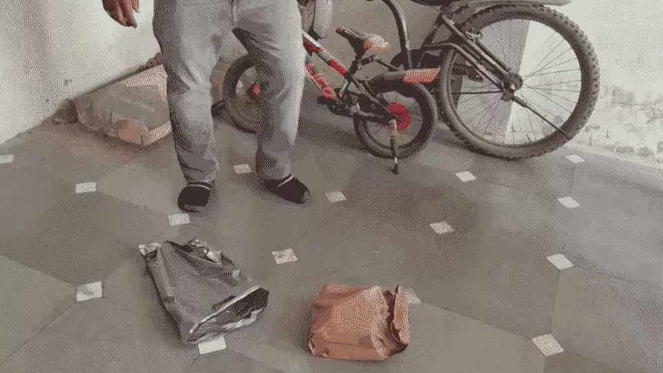 परिवार ने पैकेज घर के बाहर किया।