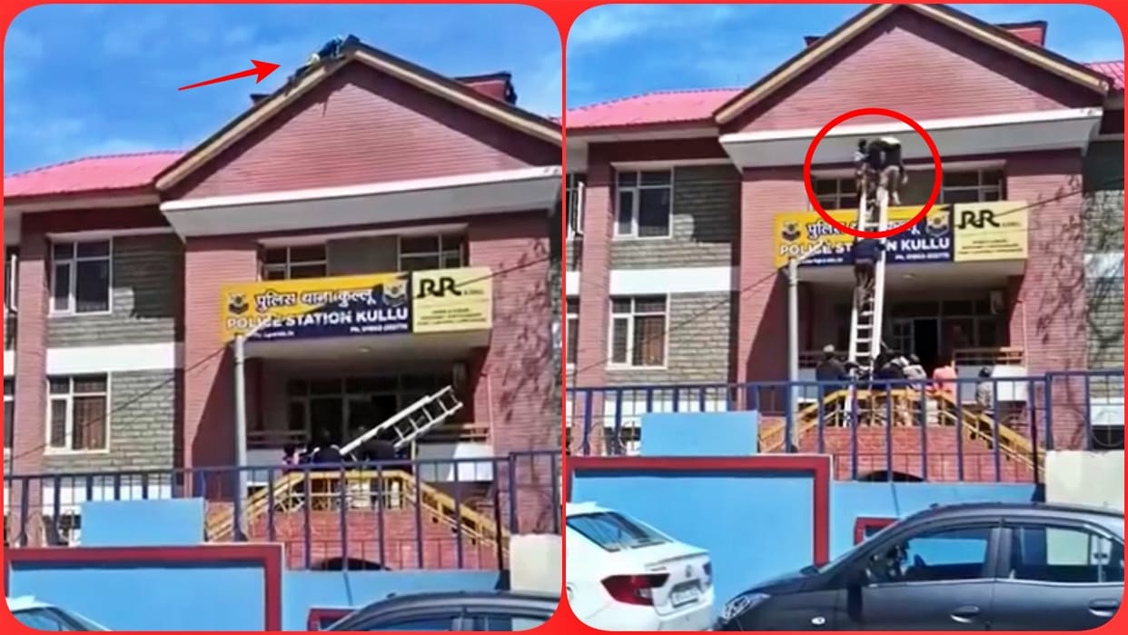 Himachal Woman Climbs onto Police Station Roof in Kullu Loses Balance and Falls