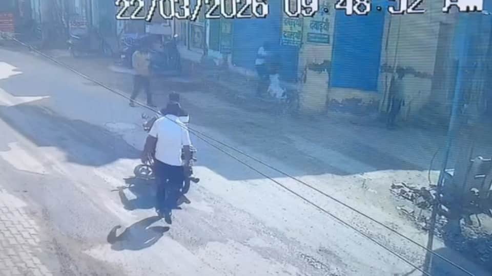 बच्चे पर हमला करता कुत्ता