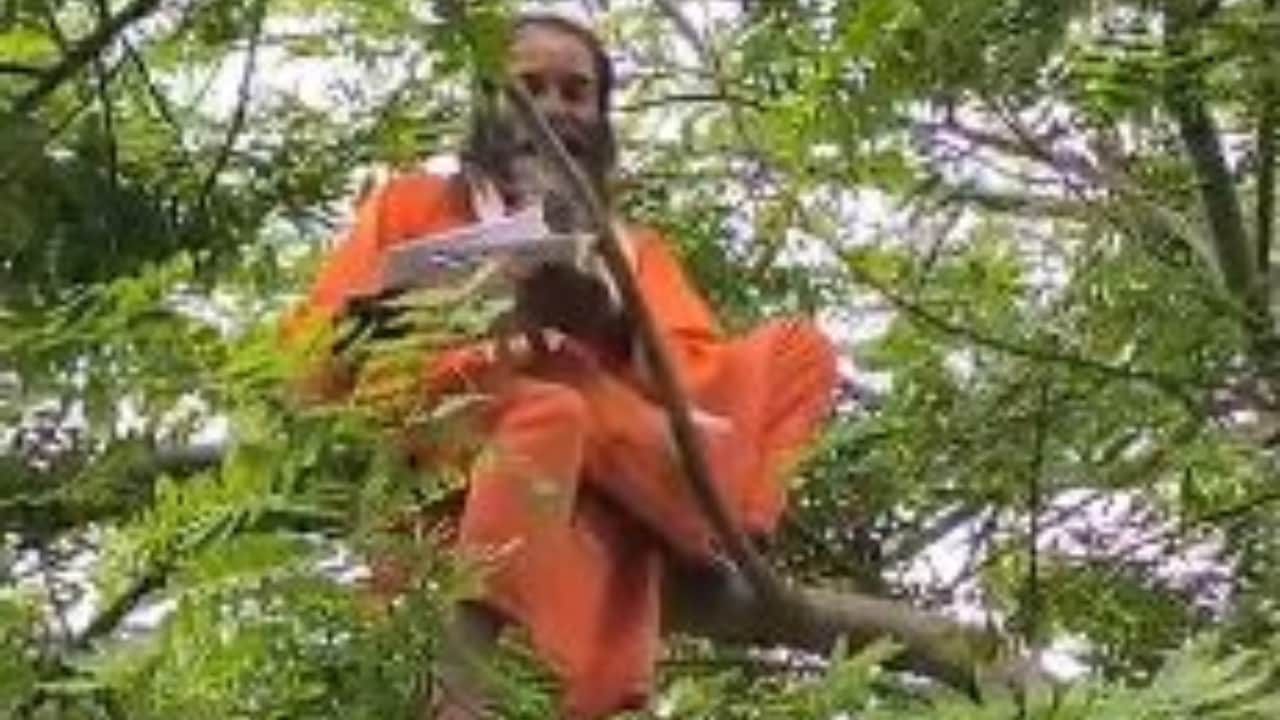 पेड़ की डाल पर बैठे साधु