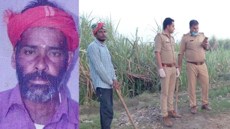 Baghpat: Farmer beaten to death on suspicion of selling buffalo, also kicked on private parts; Buffalo found