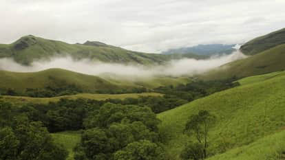 Between the mist and the slopes: The untold story of the shola grasslands