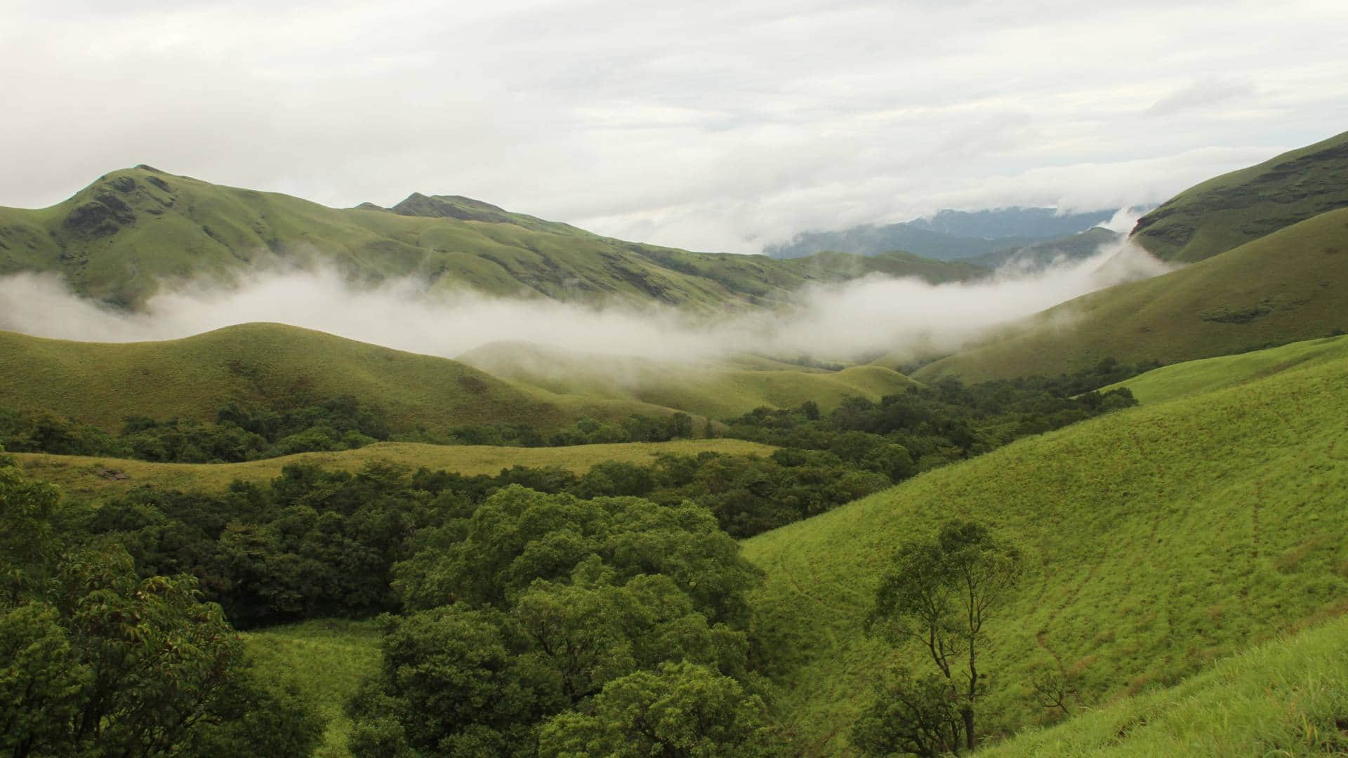 दक्षिण भारत की कई प्रमुख नदियां जैसे कावेरी, पेरियार और वैगई इन्हीं वनों से जन्म लेती हैं।