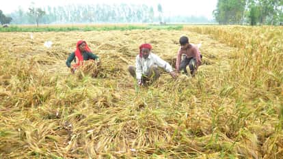 Rain and strong winds affect farmers