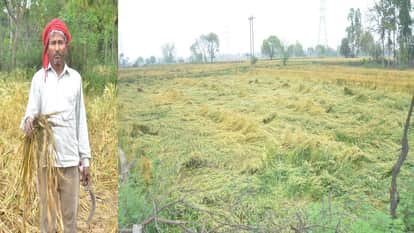 Rain and strong winds affect farmers