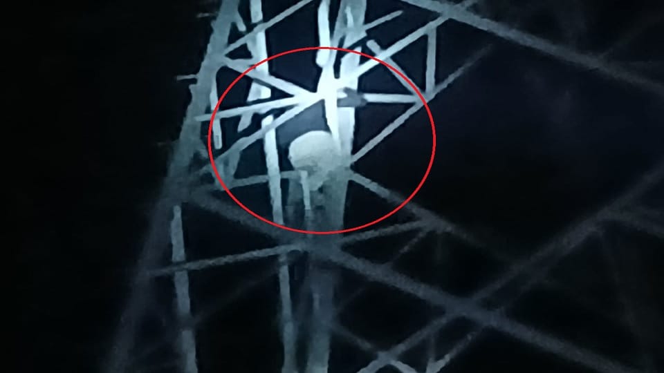 Husband Climbs High Tension Tower After Wife Fails to Return from Parental Home Fire Brigade Team Rescues Him