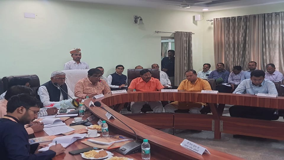 Committee Slams Power Officials Over Project Delays