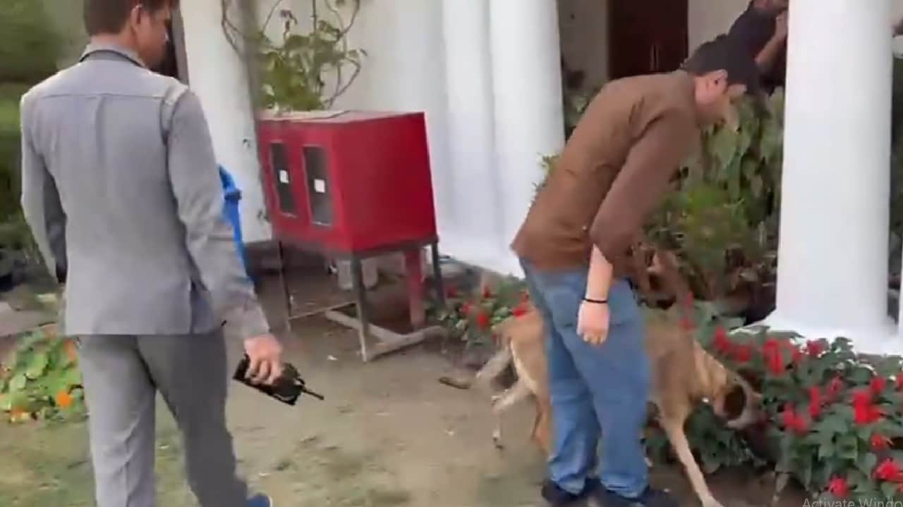 विधानसभा में छानबीन करता डॉग स्क्वाड