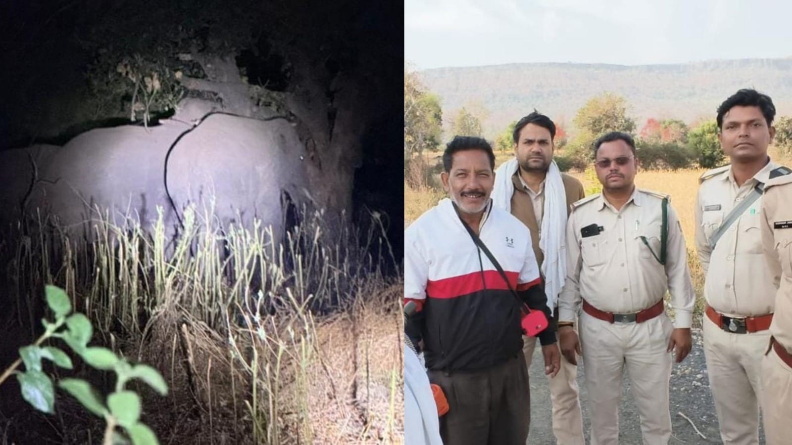 अनूपपुर से भटककर आए तीन जंगली हाथी, वनकर्मी अलर्ट।