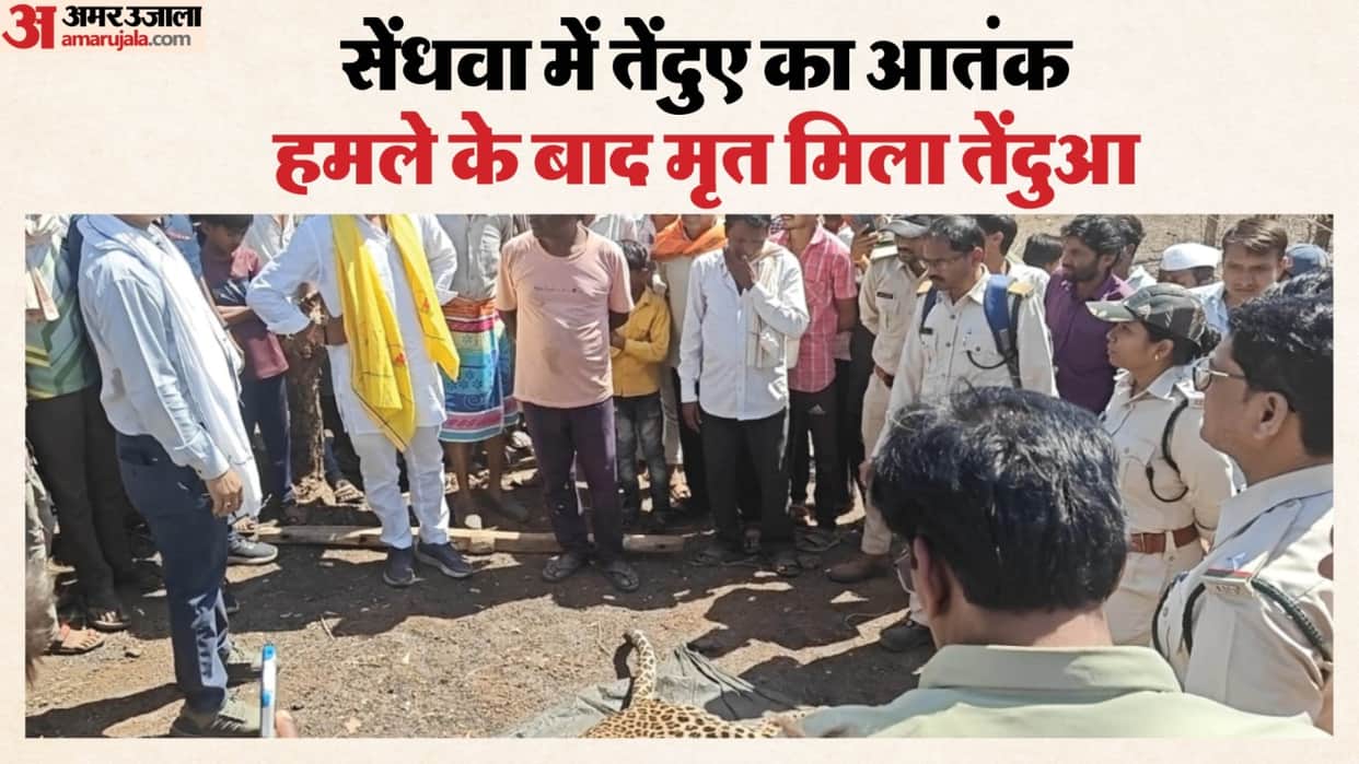 Leopard attacks children grazing goats 5 injured villagers in panic
